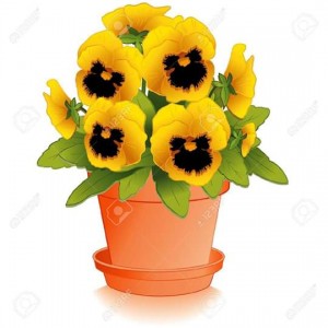 govianu-flower-pots-design-004