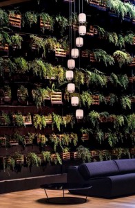 govianu-gardening-design-030