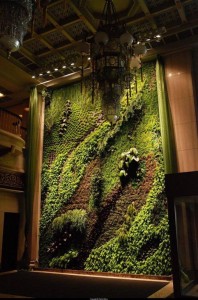 govianu-gardening-design-041