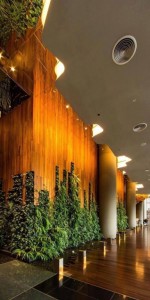 govianu-gardening-design-044