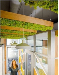 govianu-gardening-design-051