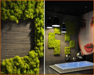 govianu-gardening-design-116