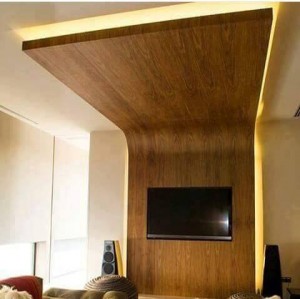 govianu-hall-living-design-292