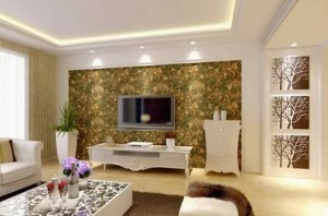 govianu-hall-living-design-437