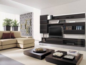 govianu-hall-living-design-450